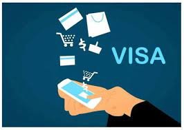 Visa provisioning service